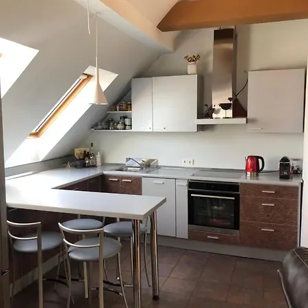 Butas Klaipedos Centre Apartamento *